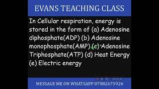 Cellular Respiration #evansteachingclass