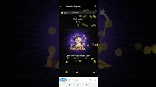 Hamster Today Card Unlock
