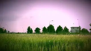 Đồng cỏ lao tuyệt đẹp