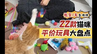 猫玩具测评！好用不贵低至1毛