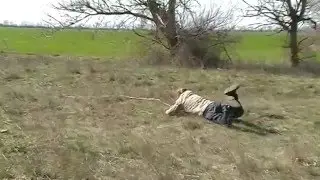 MOV050 Поймать куропатку