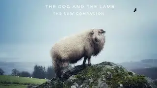 The Dog And The Lamb - The New Companion