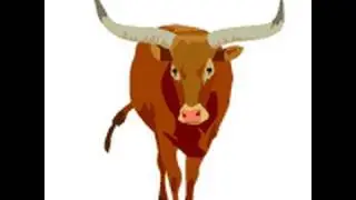 Animals Video Sounds for Kids-Part 3