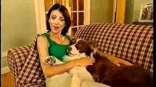 Harry's Practice - dog cuddle