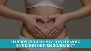 Надпочечники: что это и какие функции они выполняют?