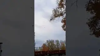 ПОСЛУШАЙТЕ ШЕЛЕСТ ОСЕННИХ ЛИСТЬЕВ 