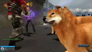 A dogs life. Chapter 1