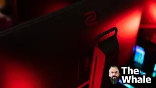 The new Pro Gaming Monitor from Zowie | ZOWIE XL2566K TN 360 Hz