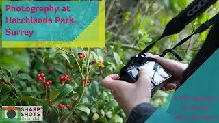 Hatchlands Park, Surrey | Photography Course for Kids and Teens