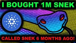 I just bought 1,000,000 $SNEK. Cardano has the best meme coin.