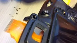 Nikon D3100: Disassembly and Repair. Hidden Screws.