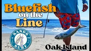 Bluefish on the Line!