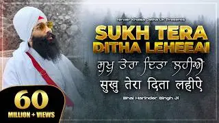 Sukh Tera Ditha Leheeai, सुख तेरा दिता लहिए, ਸੁਖੁ ਤੇਰਾ ਦਿਤਾ ਲਹੀਐ | Soothing Gurbani Shabad | 4K, NKJ