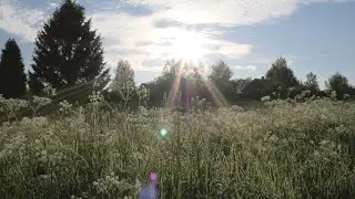 Village sounds on a summer morning for relaxation, sleep and meditation