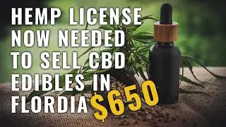 Attention Florida CBD Edible Sellers | $650 Hemp License Needed To Sell Edible CBD Products