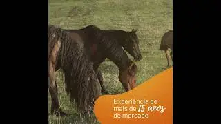 AGROZOOTEC