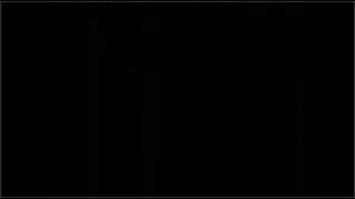 Untitled video