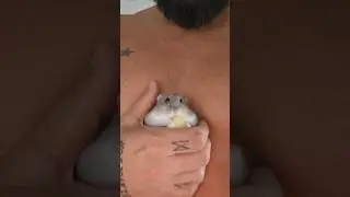 Me lo como ?