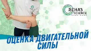 Оценка двигательной силы