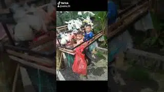 among bakol bumbon