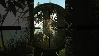 Это была ошибка...  #escapefromtarkov