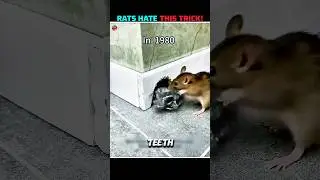 #timestop
