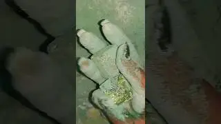 very satisfying crushing/just click for full vid #chalkness #reformedblocks #oddlysatisfying