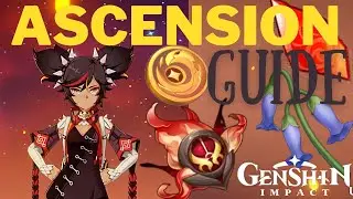 Xinyan Ascension Guide