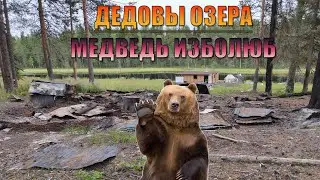 МЕДВЕДЬ поломал все избы/Сгоревшая изба на Дедовых Озёрах. 8.08.2021-11.08.2021 #travel