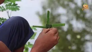 আপনার বাচ্চাকে তাক লাগিয়ে দিন আপনার ছেলে বেলার খেলনা দিয়ে! পাতা দিয়ে চর্কা।
