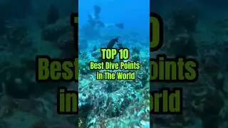 TOP 10 Best Dive Points in the World