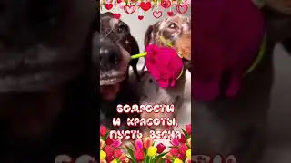 #деревенскийвлог