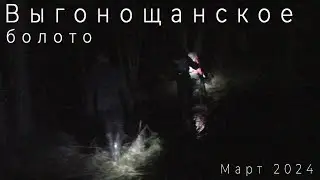 Приключения на Выгонощанском болоте. Беларусь. Весна 2024.