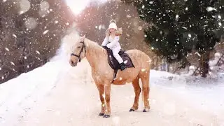 ВОЛШЕБНАЯ И СКАЗОЧНАЯ ЗИМНЯЯ ФОТОСЕССИЯ С ЛОШАДЬЮ / КРОШКА КСЮ / Kidspodium