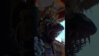 VIVO V40 Video Test