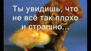 мысли