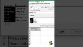 DATA ENTRY PART 3 IN EXCEL #trending #advancexcel #excelshortcuts #shortsfeed #shorts #short