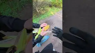 Самый странный адрес доставки