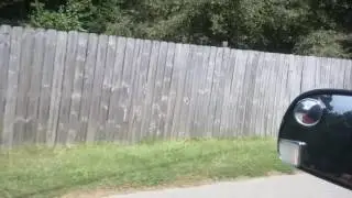 Random