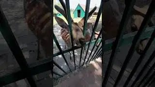 а ну не дерись 🤣