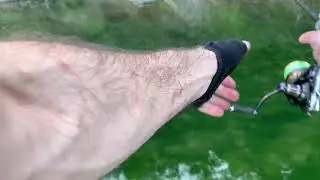 Ловля Головля в Сочи