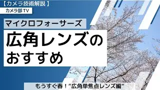 【カメラ技術解説】マイクロフォーサーズ「広角レンズのおすすめ」～もうすぐ春！”広角単焦点レンズ編”～
