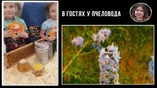 В гостях у пчеловода