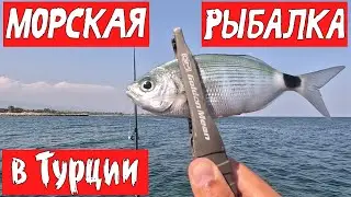 Какая красивая рыба. Ловля меланура в Турции. Рыбалка на бомбарду.