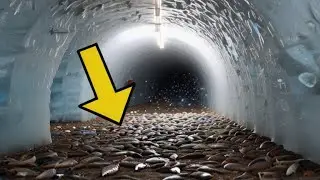 POLÍCIA ENCONTRA TÚNEL SOB O MACDONALD'S, O QUE ELES ENCONTRAM NO FUNDO OS DEIXA PÁLIDOS