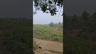 Lal paharer deshe ja❤️❤️#youtubeshorts #hills #nature #bangladesh #happiness #peace