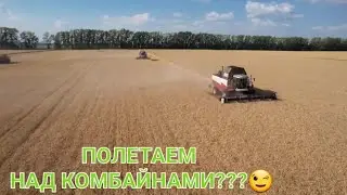 Уборка 2022. Полетали над комбайнами. Акрос 585. Сельские будни Тракториста. Деревенская жизнь