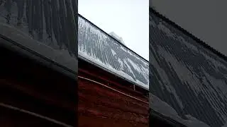 Ежедневные развлекухи.