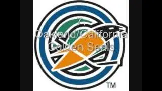 The Top 20 WORST Logos in NHL History