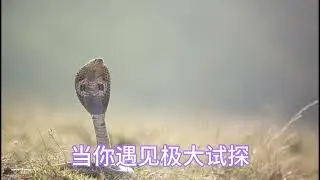 20230716诗班献唱《你已否祷告》